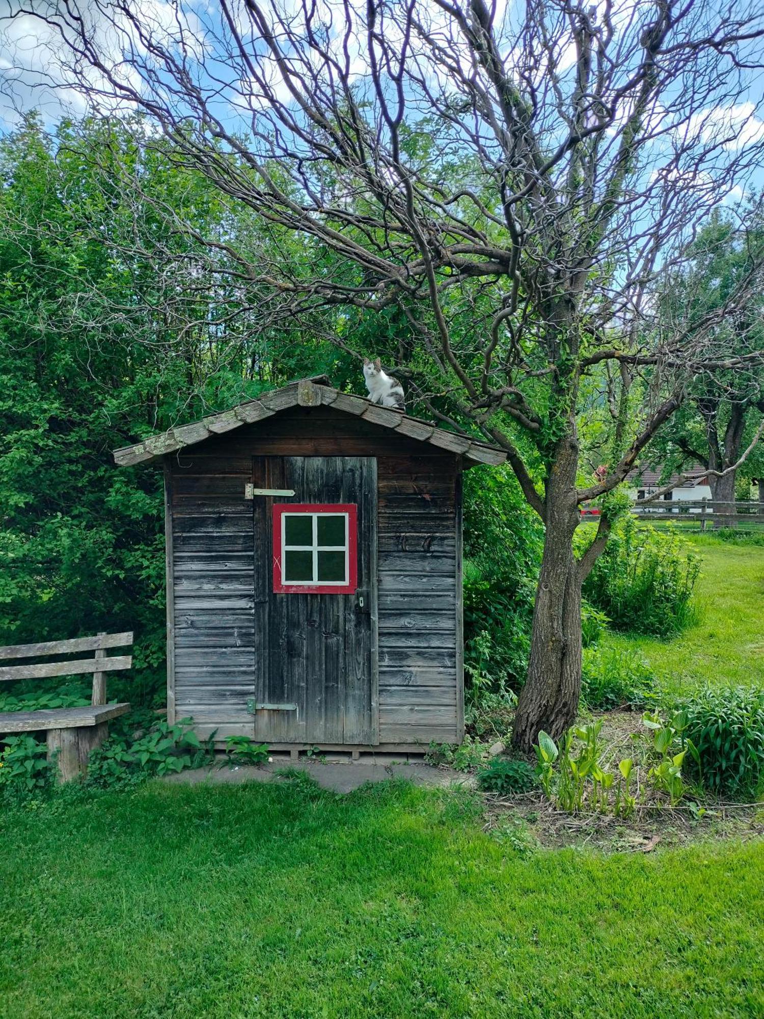 Koestlhof, Familie Hassler Bed & Breakfast โอบาร์เดราบวร์ก ภายนอก รูปภาพ